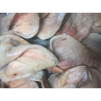 URECHI DE PORC VRAC