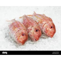 Barbun (red fish) 1 kg Barbun (red fish) 1 kg
