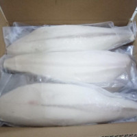 Butterfish file 1-2 kg Butterfish file 1-2 kg