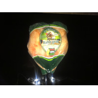 curcan carcasa